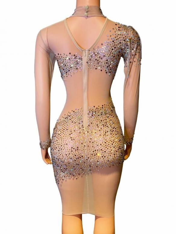 Black & nude color rhinestone mesh dress