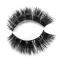 RayWigs-3D Lashes JM22