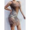 Transparent Silver Sequins and Rhinestones Dress