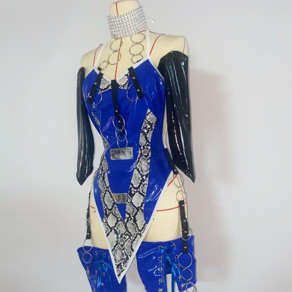 Full Set Blue Leotard Dress