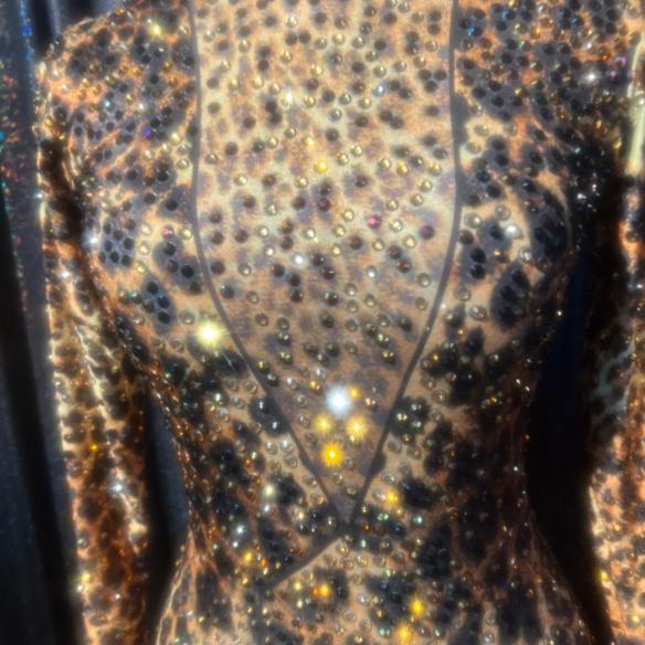 Leopard Rhinestone Bodysuit