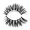 RayWigs-3D Lashes JM19