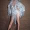 Silver Tassel Fringe Leotard