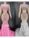 Customize Color Fringed Feather Long Dress