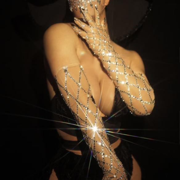 Silver Rhinestone Nude Color Gloves