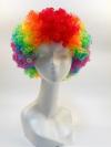 Rainbow Color Synthetic Wig