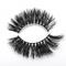 RayWigs-3D Lashes JM16