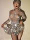 Silver Sequin Leotard Dress