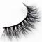 RayWigs-3D Natural Lashes