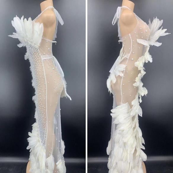 Various Colors Feather See Through Dress