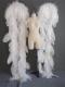 Customize Ostrich Feather Wing