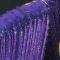 Purple Nude Crystallized Long Fringe Leotard