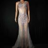 Multi- color Rhinestone Transparent Dress