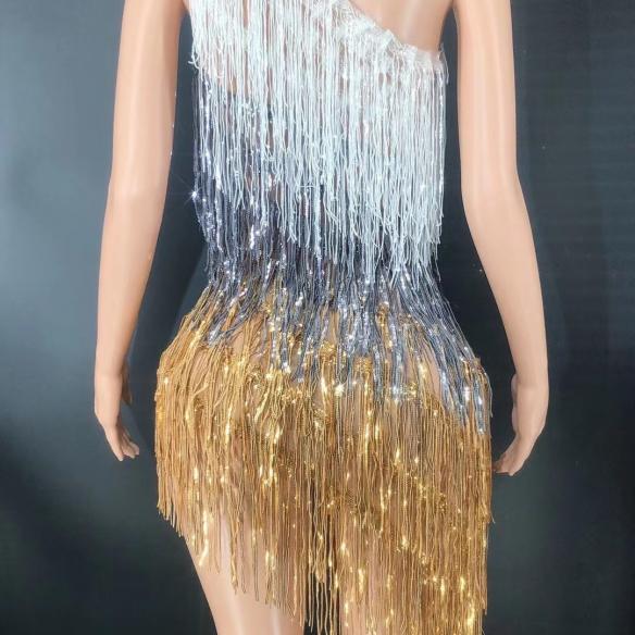 Silver tassel leotard